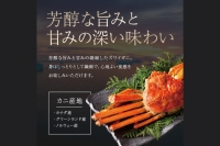 ボイル ずわいがに 総重量 0.6kg （内容量 0.48kg） カニ ハーフカット 脚 あし 足 ずわい カニ爪 肩肉 爪下 カニしゃぶ 蟹しゃぶ しゃぶしゃぶ ポーション 冷凍 蟹 ずわい蟹 鍋 かに鍋 蟹鍋 焼きガニ