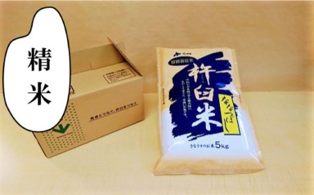 特別栽培「きなうす米」ななつぼし5kg×12回