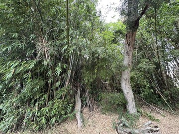 台中清水交流道旁產業園區區段徵收土地｜台中市清水區海風段