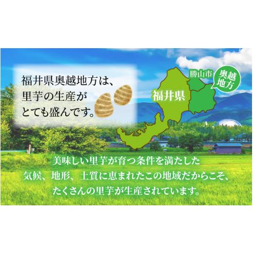 ふるさと納税 福井県 勝山市 奥越産 皮むき里芋 1.2kg×2P（マル秘レシピ付き） [A-037009]