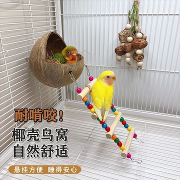 鸚鵡睡窩文鳥夏天牡丹懸掛珍珠虎皮木屋繁殖防啃咬四季通用椰子殻