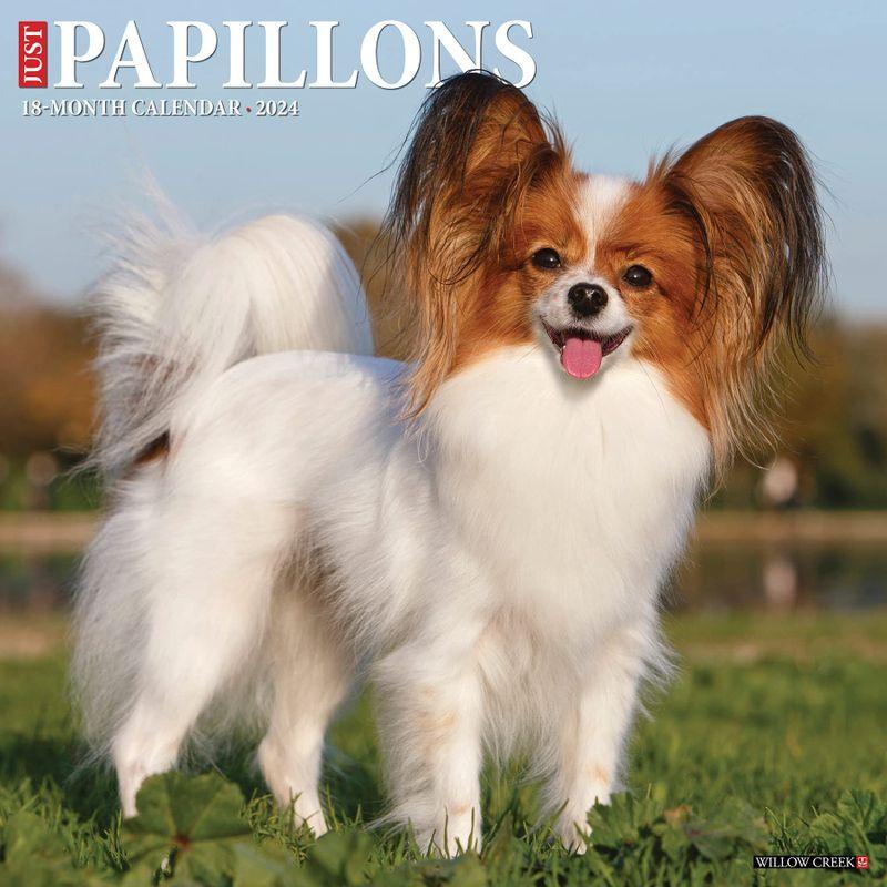 Just Papillons Calendar