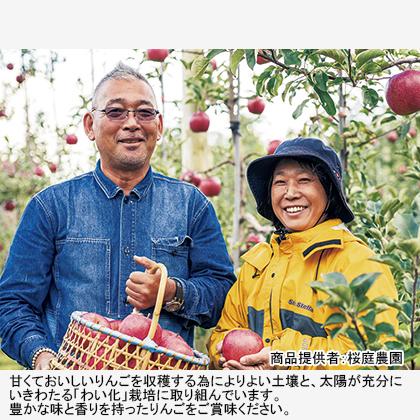 りんご 贈答用サンふじ・王林　特選大玉　ギフト木箱入