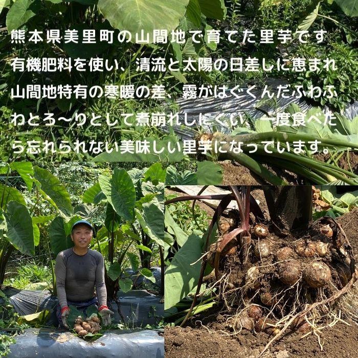 里芋３kg 有機栽培 農家直送 産地直送 熊本野菜