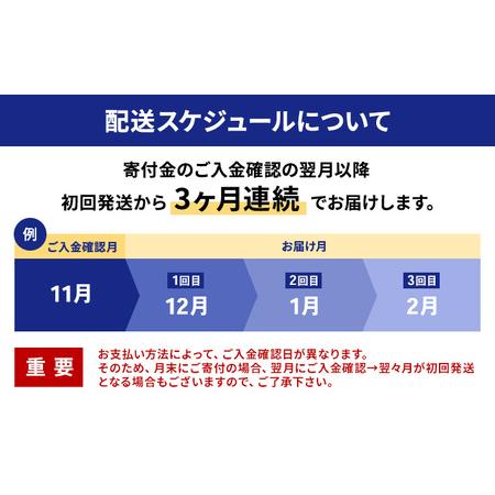 ふるさと納税 冷凍ほたて貝柱3ヶ月定期便 北海道枝幸町