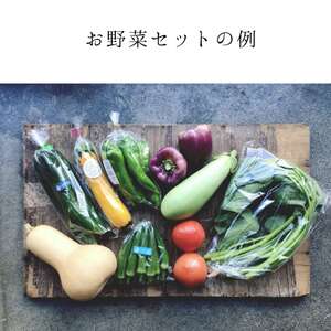 京都市産お野菜セット＋無添加惣菜8パックセット