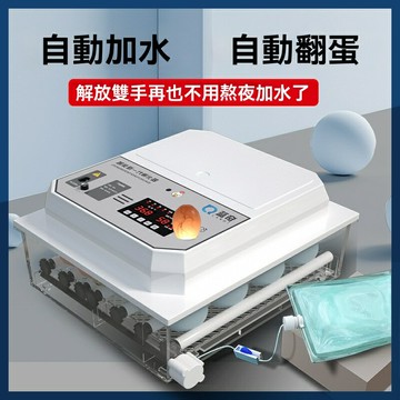 【可開發票】工廠110V-240V中英文全自動家用小型孵化器鴨鵝鴿孵化機