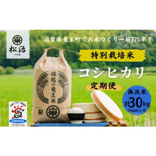 ふるさと納税 滋賀県 竜王町 定期便 6ヶ月 コシヒカリ 無洗米 5kg 縁起の竜王米 特別栽培米 令和5年産  新米 ブランド米 無洗米 精米 計 30kg 定期便 6回 お…