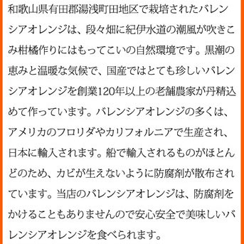 秀品　希少な国産バレンシアオレンジ 5kg ※2024年6月下旬～7月上旬頃に順次発送予定