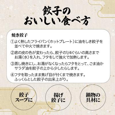 ふるさと納税 鹿児島市 餃子・焼売の皮専門店の自信作!鹿児島県産豚肉のスタミナ餃子