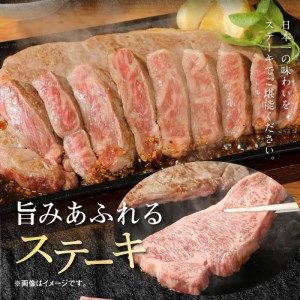 宮崎牛 ロース ステーキ 250g×2 計500g　N0147-ZB117