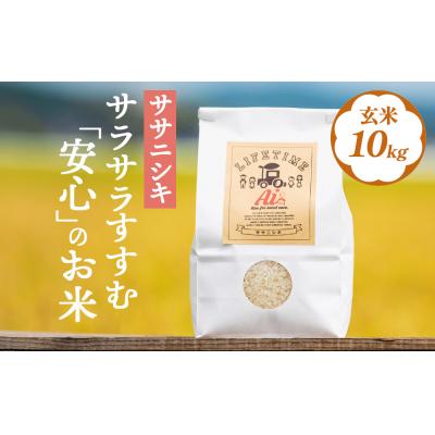 ふるさと納税 石巻市 サラサラすすむ"安心"のお米 玄米10kg