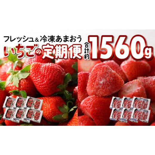 ふるさと納税 福岡県 久留米市 　あまおう　約５６０ｇ（約２８０ｇ×２パック）× １２月〜５月まで計６回　　 冷凍あまおう　１００…