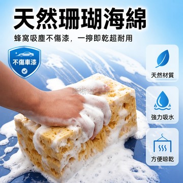 台灣出貨✨ 高密度珊瑚海綿 蜂窩吸水擦車海綿 大容量去污洗车工具 兩塊裝汽車清潔海綿 16x10cm 8cm厚