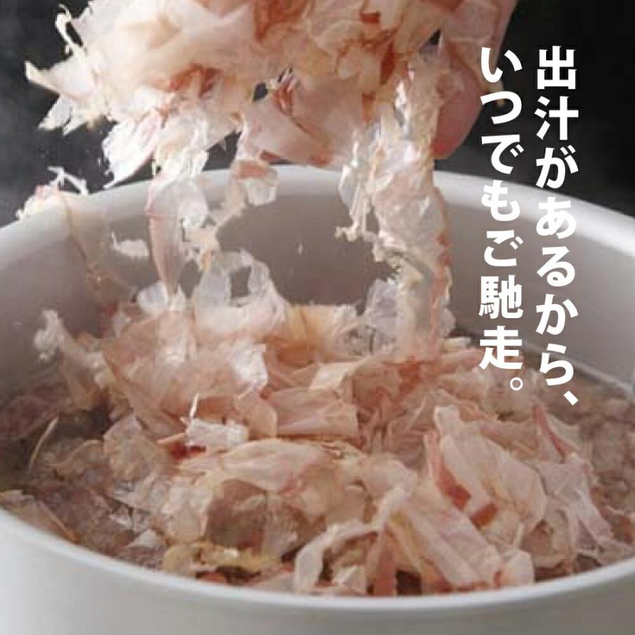 伏高×のレン 枯節の削節 100g  だし 出汁  削り節 かつお節 かつおぶし 厚削