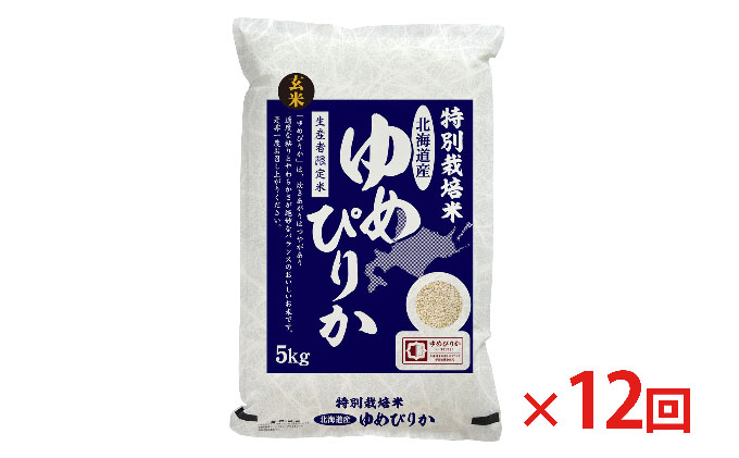 玄米 北海道赤平産 ゆめぴりか 5kg 特別栽培米  米 北海道 定期便