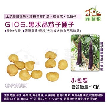 【綠藝家】G106.黑水晶茄子種子10顆(F1) 本品種耐濕熱，種植適應性廣，產量高、品質佳。 茄子種子