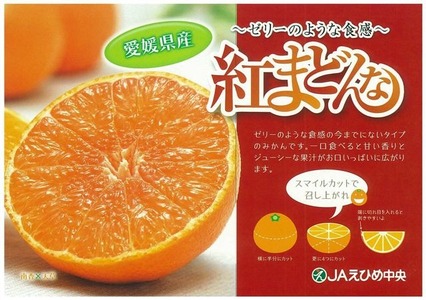 紅まどんな 約2.7kg 青秀 L 3Lサイズ（ 10 ～15玉 ） 愛媛県産 みかん 柑橘 みかん フルーツ みかん 果物 みかん 愛果28号 みかん 新鮮 みかん 愛媛県 松山市 まどんな 紅まどんな あいか 愛果 紅 まどんな