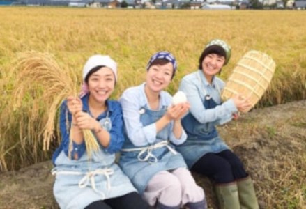 「米屋のこだわり阿賀野市産」嘉右衛門パックご飯 豆玄米ごはん24食 1E16024