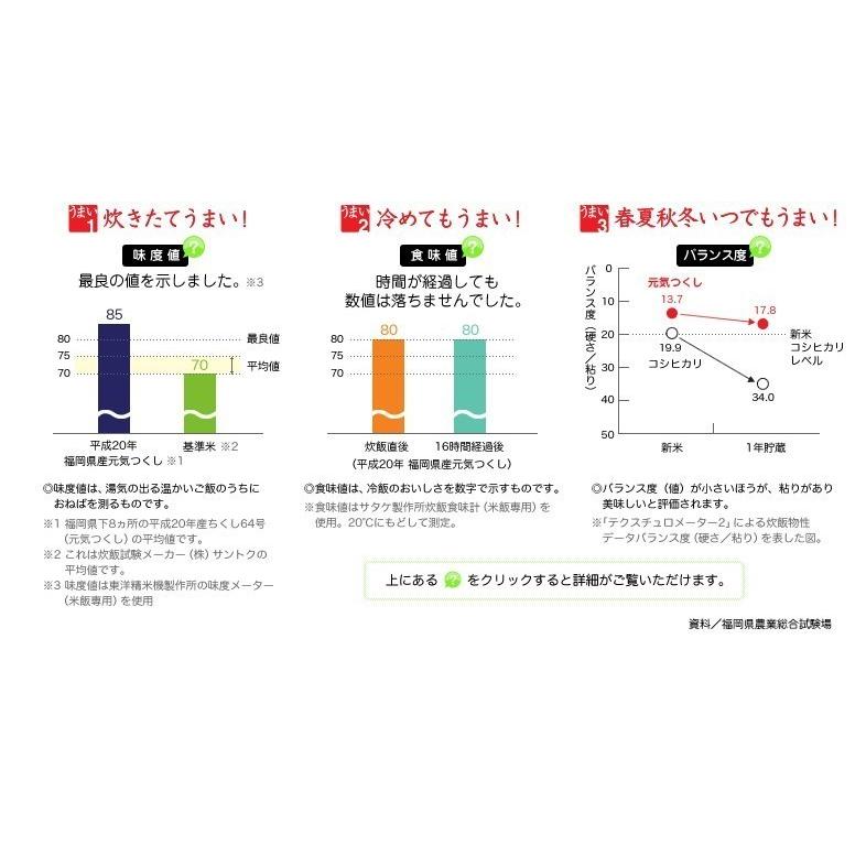 米10kg 元気つくし めし丸 福岡県産 5kg×2 送料無料 無洗米 九州 令和5年産