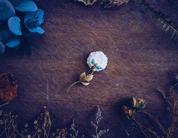 WELLS 藍翅蜜蜂與骨雕白玫瑰胸針・美國古董首飾 Vintage Jewelry