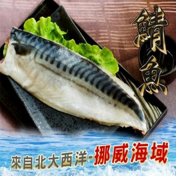 【海之醇】5L薄鹽鯖魚10片｜無紙板重220-250g)