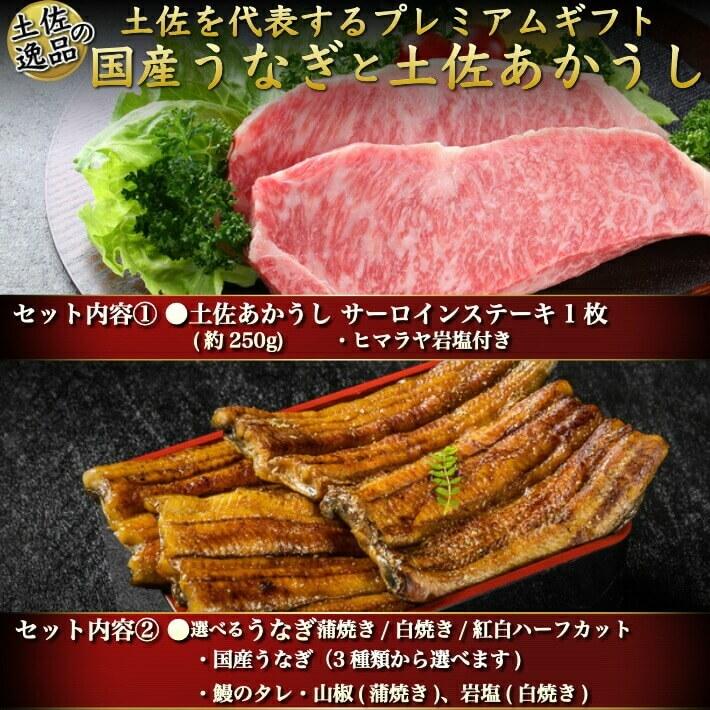 国産 特大うなぎ 土佐あかうし (サーロインステーキ)のセット 選べる鰻 ギフト