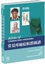 常見疼痛症候群圖譜 (Atlas of Common Pain Syndromes 4/E) (4版) Steven D. Waldman 2022 台灣愛思唯爾有限公司