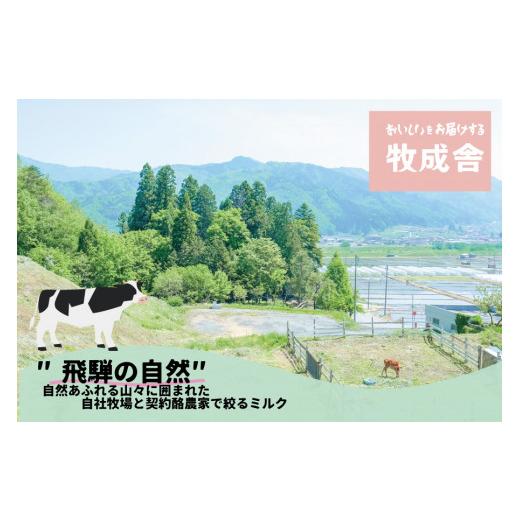 ふるさと納税 岐阜県 飛騨市 6回定期便 飛騨産ミルクと乳酸菌だけのプレーンヨーグルト20個 砂糖不使用 牧成舎 乳製品 定期便 お楽しみ 6ヵ月