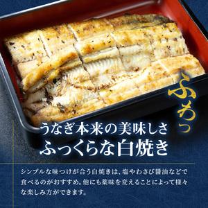 ふるさと納税 創業１４０年!老舗うなぎ屋のうなぎかば焼き100ｇ×1、白焼き100ｇ×1、くりから×5本、骨せんべい30ｇ×2セッ.. 鹿児島県奄美市