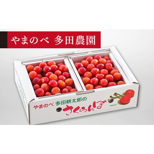 ふるさと納税 山形県 山辺町 《先行予約》2024年 山形県産 佐藤錦 バラ詰め（パック）1kg やまのべ多田耕太郎のさくらんぼ サクランボ F20A-048