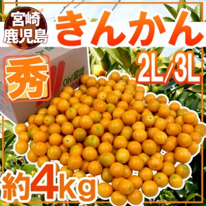 宮崎・鹿児島県 ”きんかん” 秀品 2L～3L 約4kg 金柑 送料無料