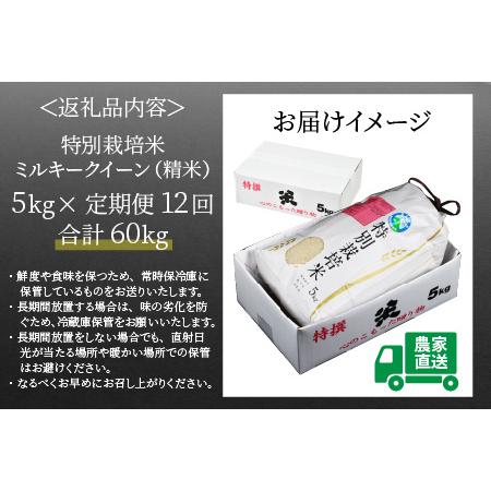 ふるさと納税 《定期便12回》 特別栽培米 ミルキークイーン 精米 5kg (計60kg)  農薬不使用 化学肥料不使用 ／ 高品質 鮮度.. 福井県あわら市