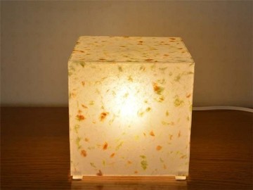 燈箱 新橙 13 LED