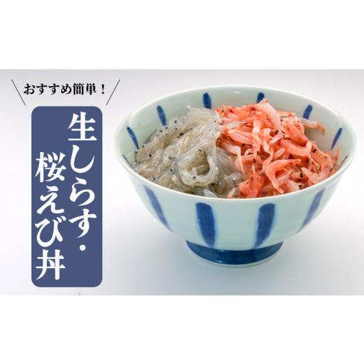 ふるさと納税 静岡県 沼津市 釜揚げ しらす 桜えび 生シラス 500g 4種 セット 小分け 駿河湾 沼津市 静岡