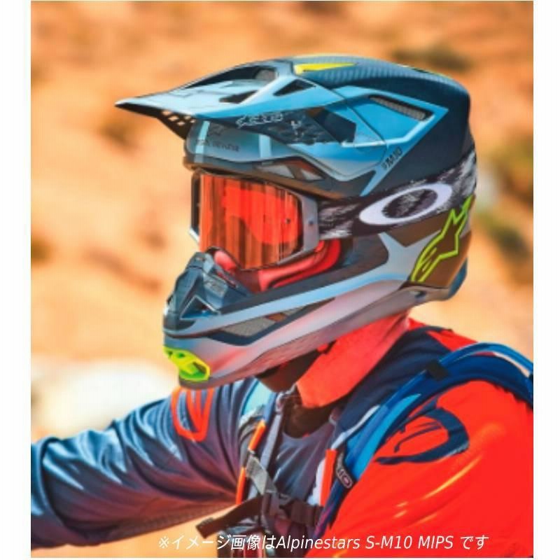 全品10%+1300円☆4/19(土)限定／ 【カーボン】Alpinestars