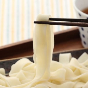 送料無料 お取り寄せグルメ 幅広タイプでこしがある おいしい群馬のひもかわうどん〈生タイプ〉270g×6セット