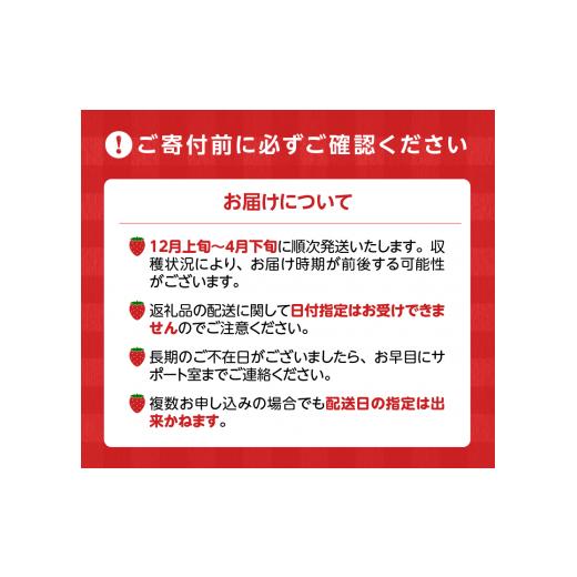 ふるさと納税 福岡県 久留米市 旬ないちごとおまかせ野菜詰合せ7品目セット