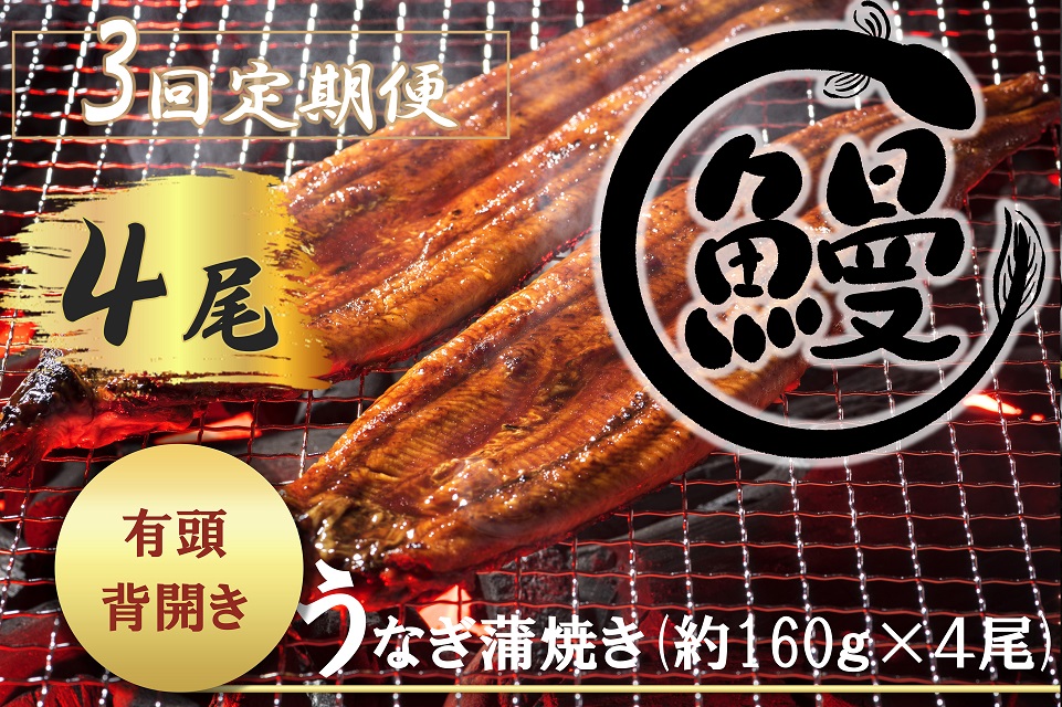 FK009_肉厚で脂が乗ったふっくらうなぎ蒲焼4尾　有頭鰻”当社秘伝のたれ”仕込み 1尾あたり約160ｇ前後×4尾（合計約600ｇ以上）たれ・山椒セット　 みやき町