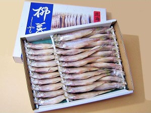 ししゃも メス(30尾)×1箱 北海道産 柳葉魚一夜干