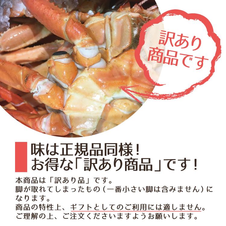 お歳暮 越前産 茹で紅ズワイガニ姿３杯（1杯600〜800g）獲れたて浜茹でを即日発送！