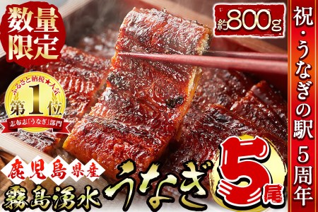 霧島湧水鰻の蒲焼き 160g以上×5尾＜計800g以上＞きざみ鰻50g付き! c0-103-kizami