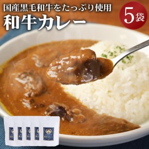 モリタ屋オリジナル和牛カレー5箱