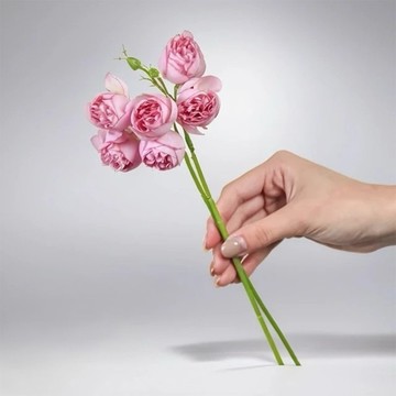 奧斯丁優雅粉牡丹仿真花花材(9入組)