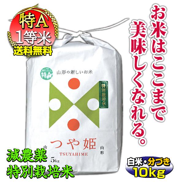 新米 お米 10kg つや姫 山形県 庄内産 白米 分づき可 一等米 特別栽培米 5kg×2袋  当日精米 送料無料 令和5年産 小分け