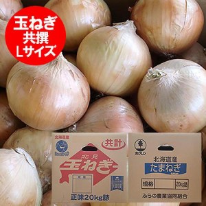 玉ねぎ 20kg 送料無料 北海道産 たまねぎ 20kg Lサイズ 共選 北海道 富良野産 もしくは 北見F1 野菜 たまねぎ