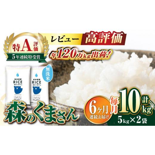 ふるさと納税 熊本県 山鹿市 森のくまさん 無洗米 10kg（5kg×2袋