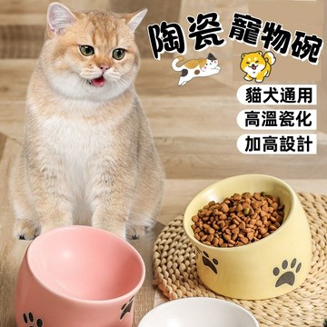 現貨【升級款】寵物碗 斜口碗 高腳寵物碗 防打翻 飲水碗 寵物碗 狗碗 貓飼料碗 護頸 高腳碗
