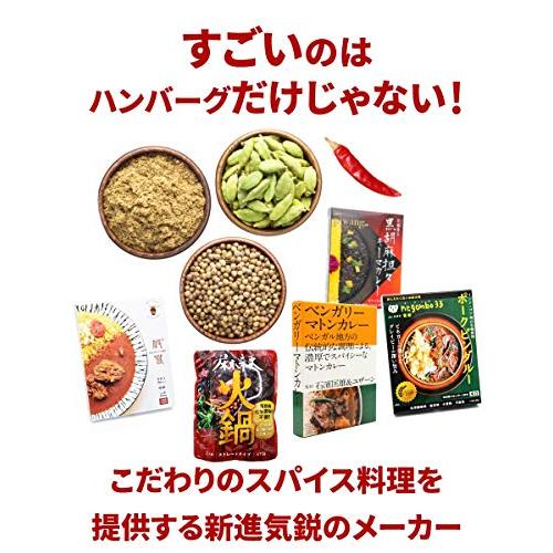 ハンバーグステーキカレー 250g ×2個 中辛 36チャンバーズ・オブ・スパイス レトルトカレー