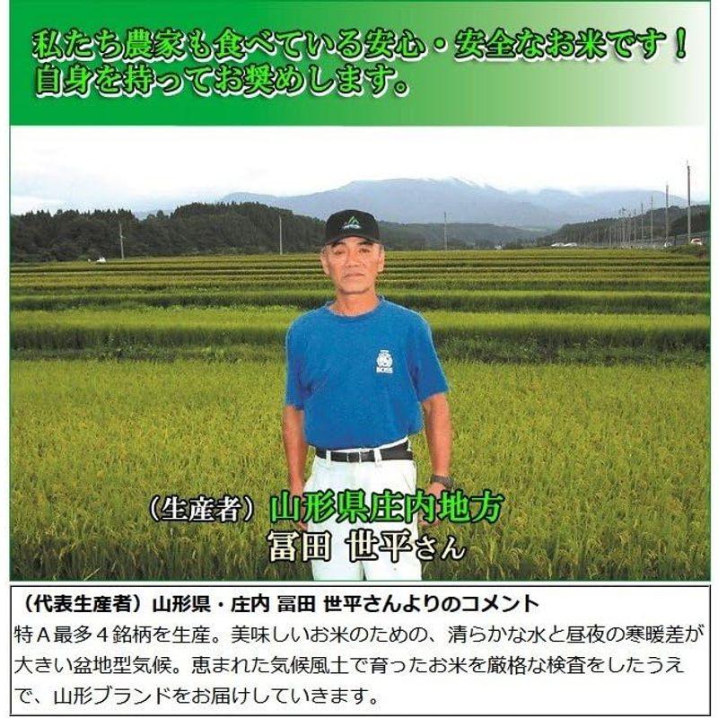 当日精米 お米 つや姫 10kg 山形県産 庄内産 令和4年産 5分づき （5kg×2袋）一等米 特別栽培米 9年連続特A